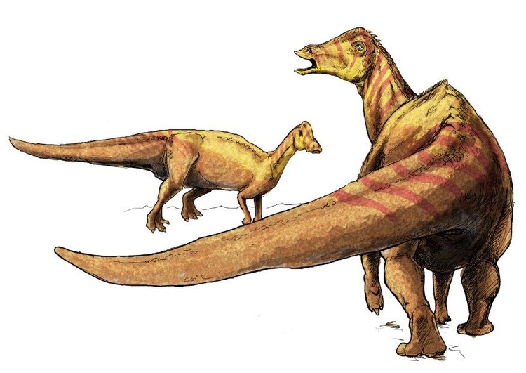 Bild Nipponosaurus