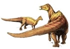 Bilder Nipponosaurus