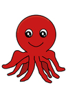 Bilder Oktopus