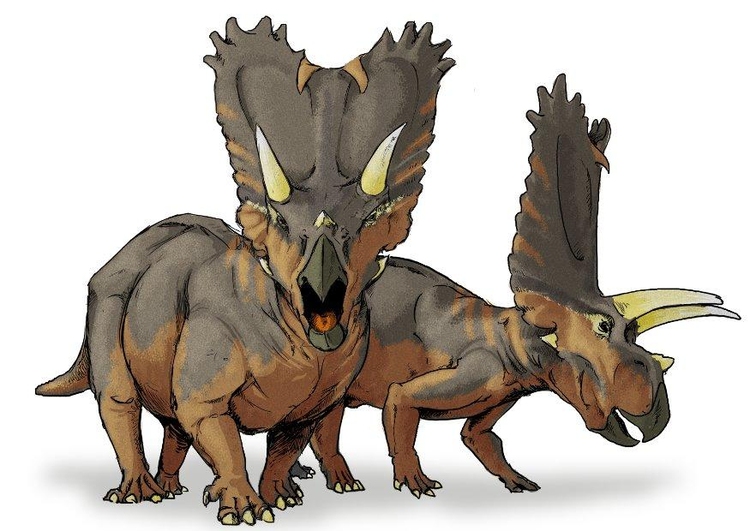 Bild Pentaceratops Dinosaurier