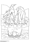 Malvorlage pinguin