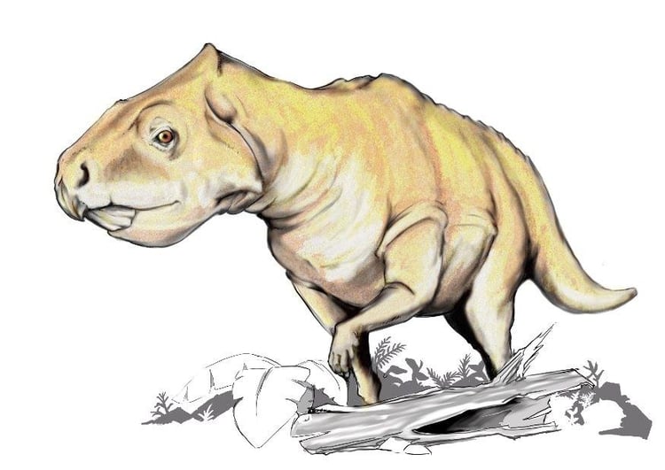 Bild Prenoceratops DInosaurier