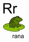 r