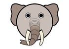 Bilder r1 - Elefant