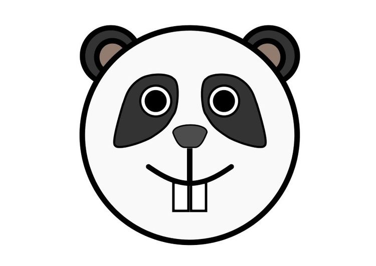 Bild r1 - Panda