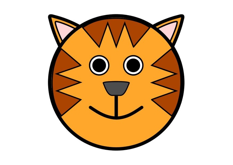 Bild r1 - Tiger