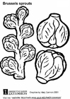 Malvorlage rosenkohl