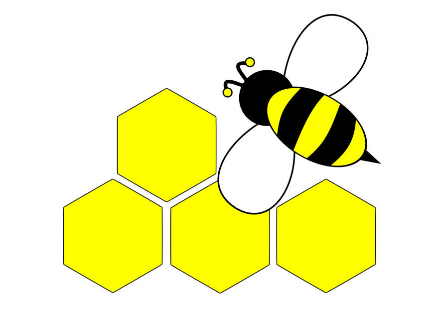 Bild RÃ¼ckseite Biene