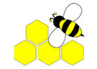 Rückseite Biene