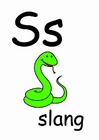 s