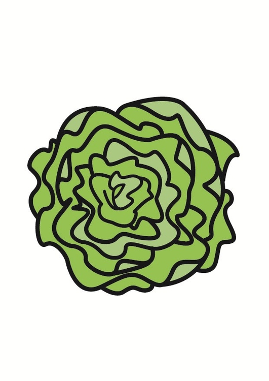 Bild Salat