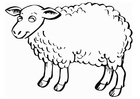 Malvorlage schaf
