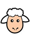 Schaf