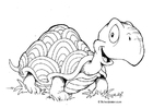 Malvorlage schildkröte