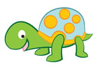 Bilder Schildkröte