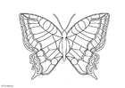 Malvorlage schmetterling