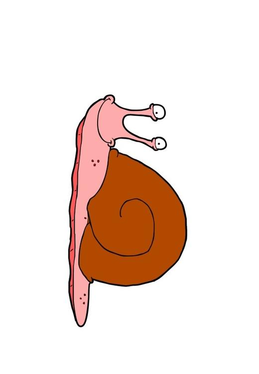 Schnecke