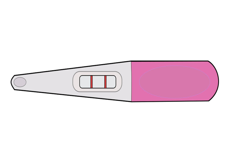 Bild Schwangerschaftstest