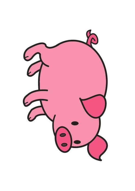 Schwein