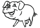 Malvorlage schwein