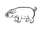 Malvorlage schwein