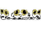 Bilder Sonnenblumen
