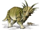 Bilder Styracosaurus Dinosaurus