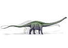 Bild Supersaurus Dinosaurus
