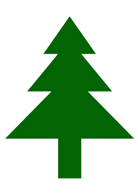 Bild Tannenbaum Kostenlose Bilder Zum Ausdrucken Bild 20411.