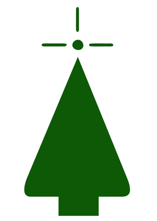 Bild Tannenbaum Kostenlose Bilder Zum Ausdrucken Bild 20401.