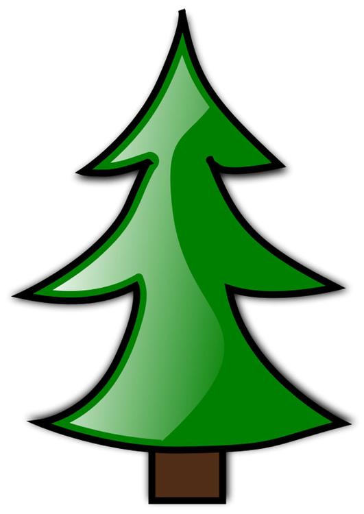 Bild Tannenbaum - Kostenlose Bilder Zum Ausdrucken - Bild 20438.