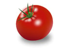 Bild Tomate