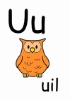 u