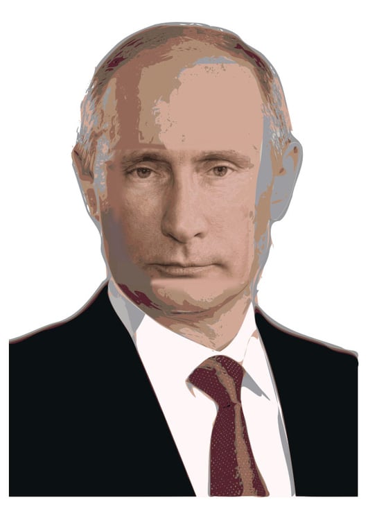 Bild Vladimir Putin
