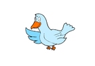 bild Vogel