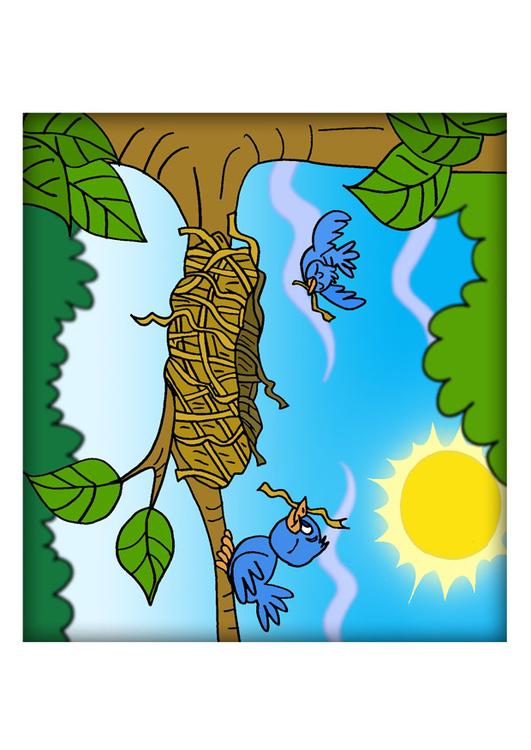 Vogelnest