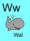 w