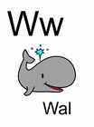 w