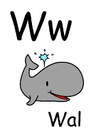 Bild w