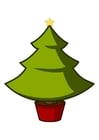 Bilder Weihnachtsbaum