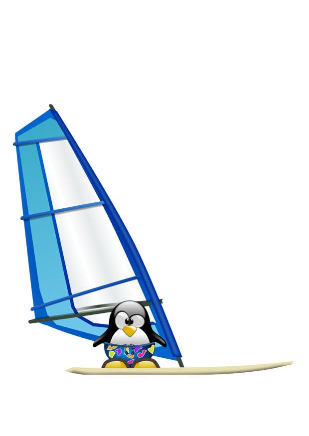 Bild Windsurfing