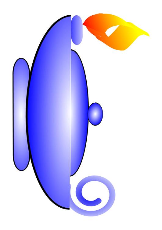 Wunderlampe