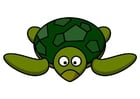 Bilder z1-Schildkröte