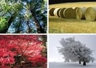Fotos 4 Jahreszeiten