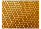 Fotos Bienenwabe