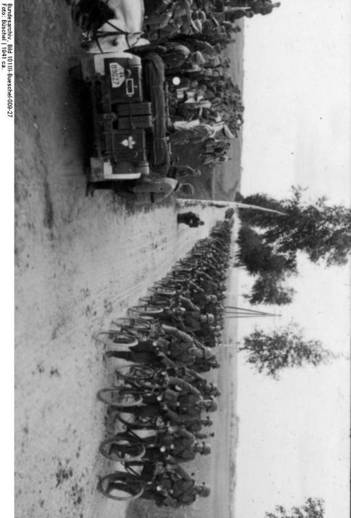 Bueschel - Himmler inspiziert Truppen