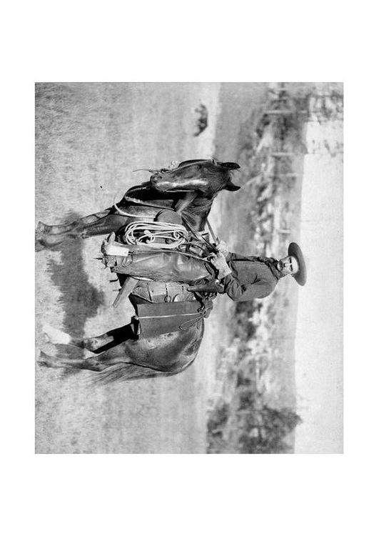 Cowboy zirka 1887