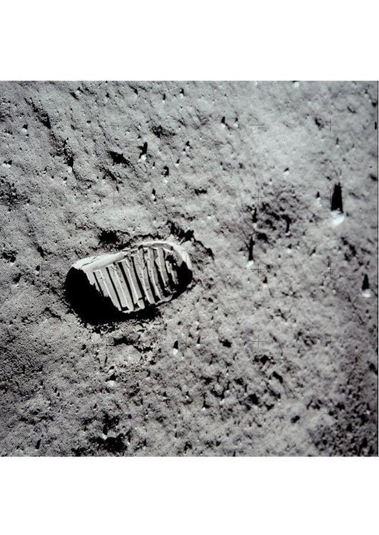 die ersten Schritte auf dem Mond