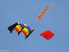 Foto drachen 2