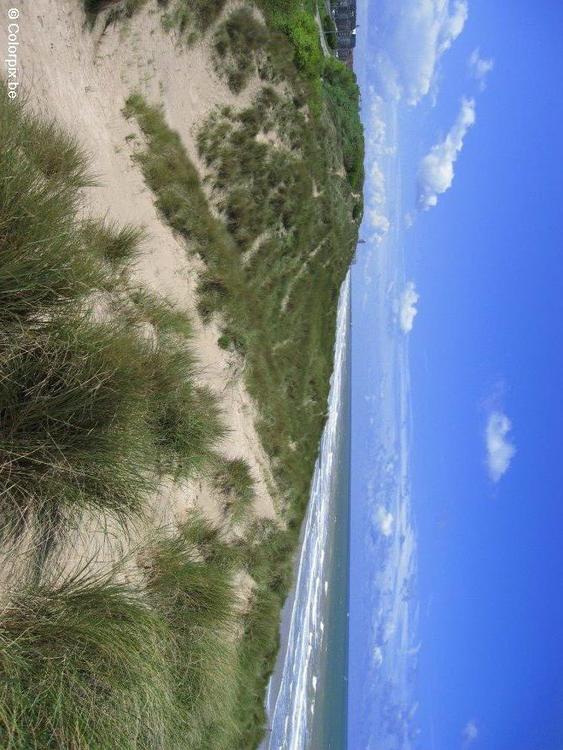 DÃ¼nen Meer KÃ¼ste 1